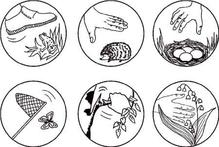 Раскраска охрана природы