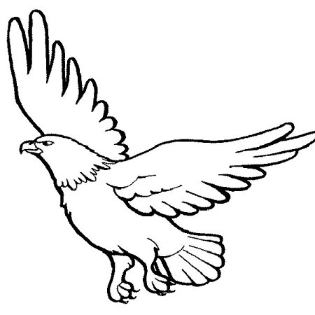 Орел раскраска