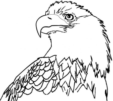Eagle раскраска