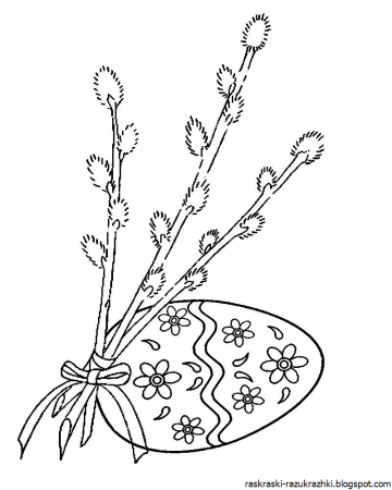 Верба раскраска