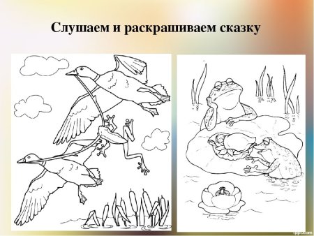 Раскраска лягушка путешественница Гаршин для детей