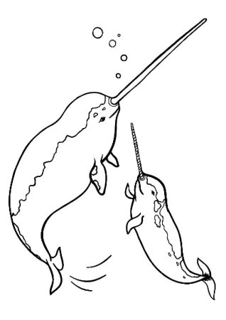 Нарвал раскраска