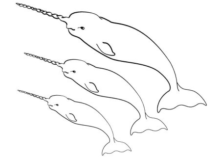 Нарвал раскраска для детей