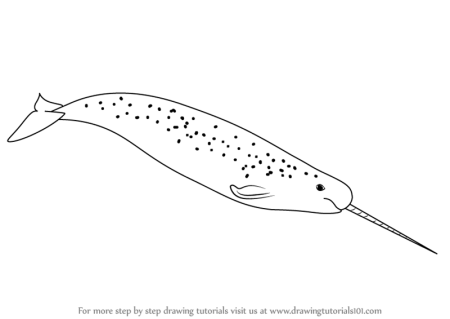 Нарвал эскиз тату