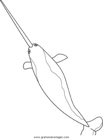 Нарвал раскраска для детей