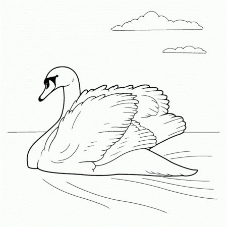 Лебедь раскраска