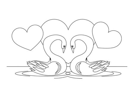 Лебедь шипун рисунок