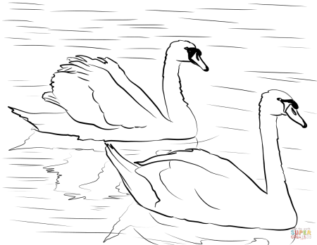 Лебедь раскраска