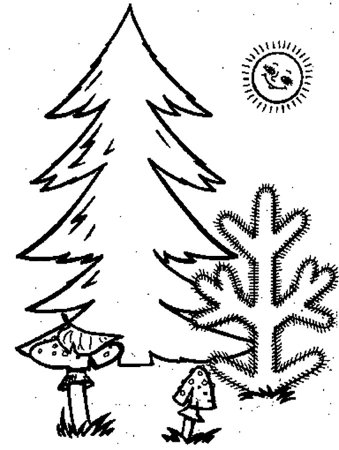 Ель раскраска для детей