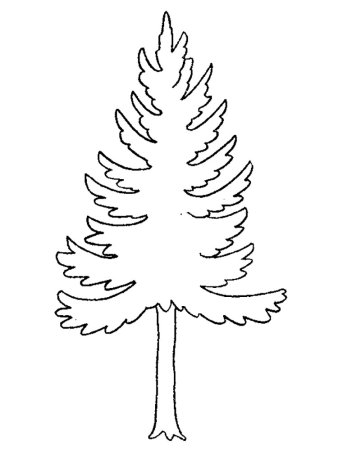 Елка в лесу раскраска для детей