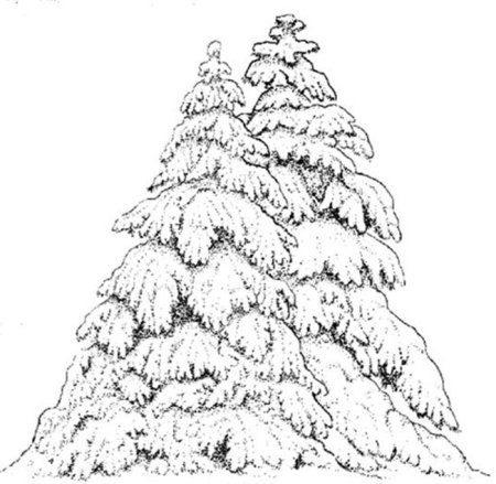 Елочка в лесу раскраска