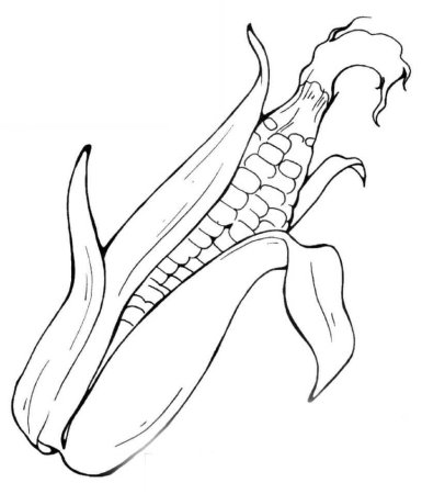 Кукуруза рисунок