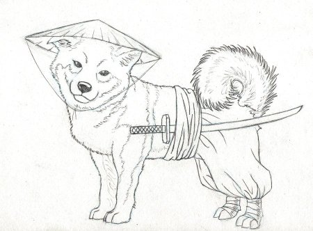 Раскраска собака Акита ину