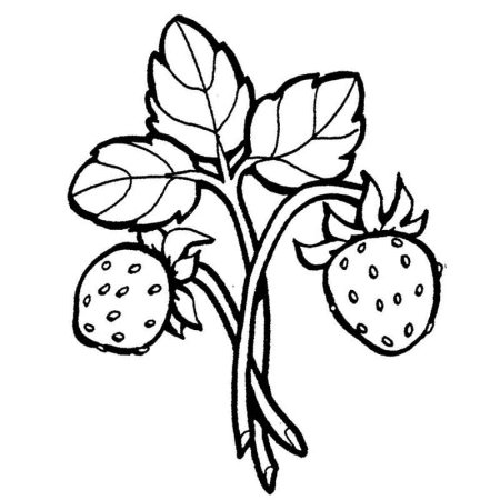 Клубника раскраска