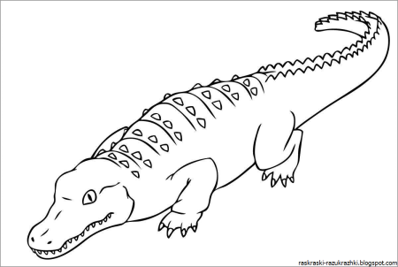 Раскраска крокодил