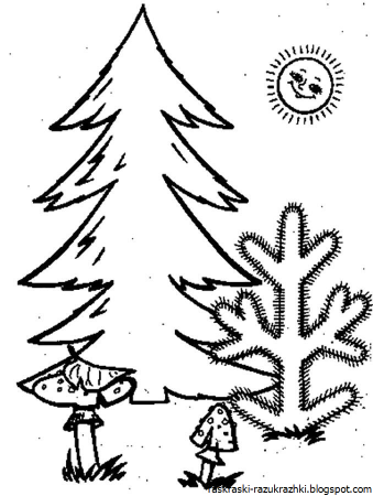 Раскраска Лесная елка