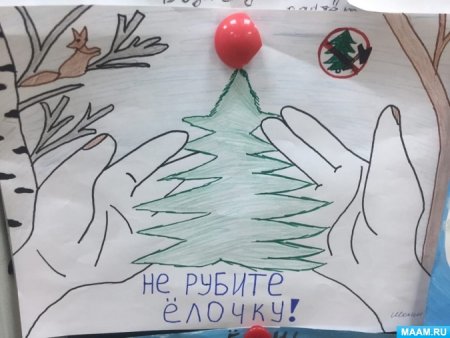 Экологическая акция живи елка