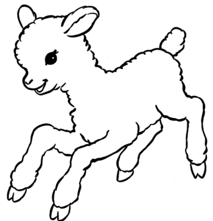 Ягненок раскраска