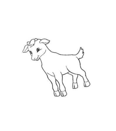 Козлёнок раскраска для детей