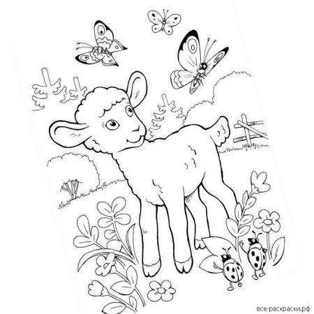 Козлёнок раскраска для детей