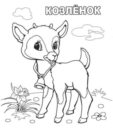 Козлёнок раскраска для детей