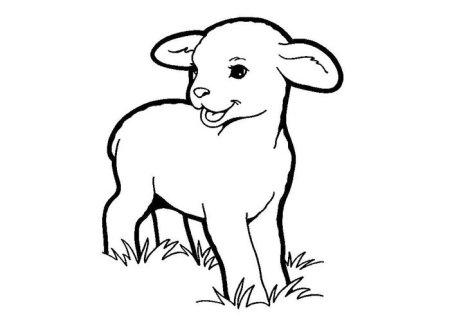 Коза картинка для детей