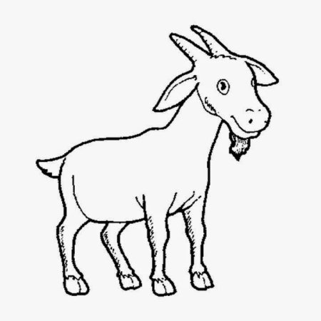 Козлёнок раскраска для детей