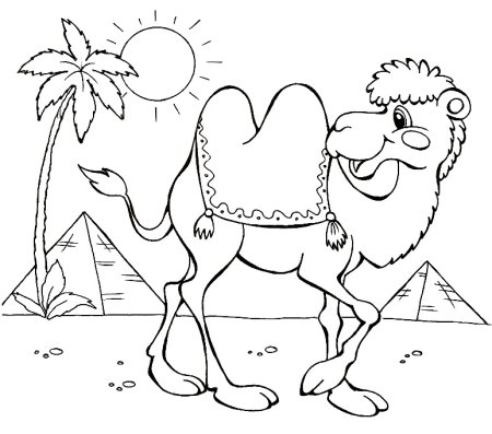 Раскраска двугорбый верблюд