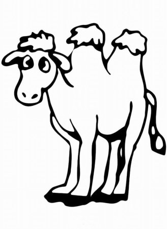 Раскраска двугорбый верблюд