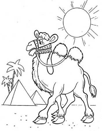 Верблюд раскраска