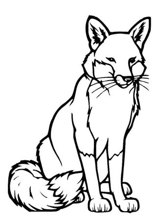 Раскраска лисы