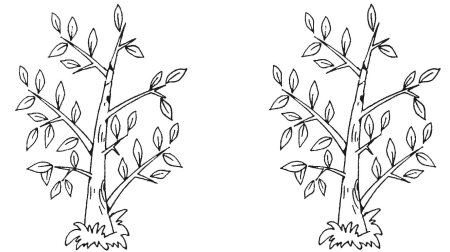 Дерево раскраска