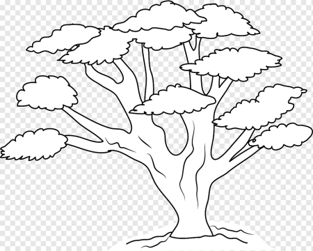 Дерево раскраска для детей