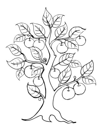 Раскраска листья деревьев для детей