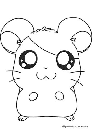 Раскраски милые хомячки