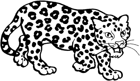 Переднеазиатский леопард