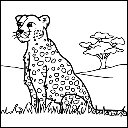 Раскраска гепард