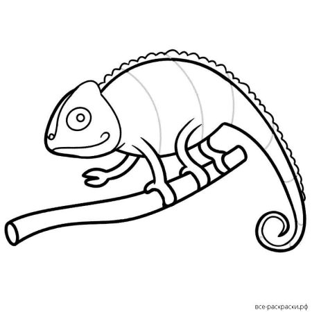 Хамелеоны. Раскраска