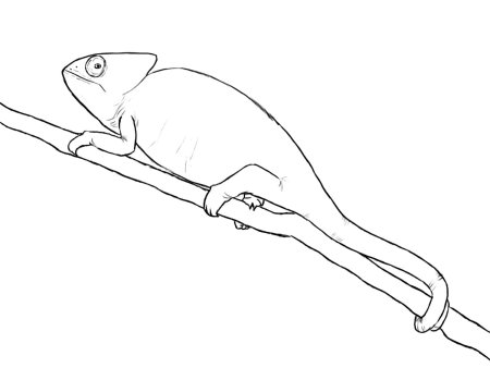 Хамелеон Паскаль раскраска