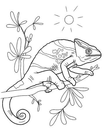 Рапунцель и Паскаль раскраска