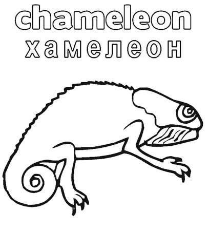 Хамелеон простой рисунок