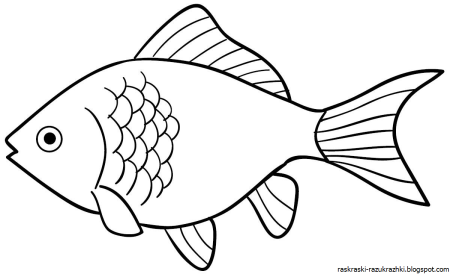 Раскраска речные рыбы для детей