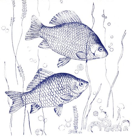 Рыба карась раскраска
