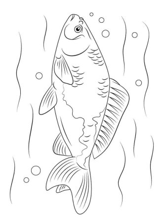 Карп вектор сбоку