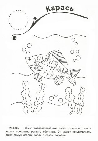 Рыбка рисунок карандашом