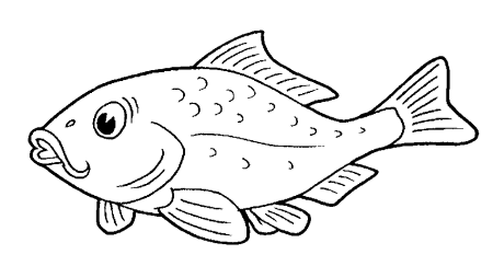 Карась раскраска