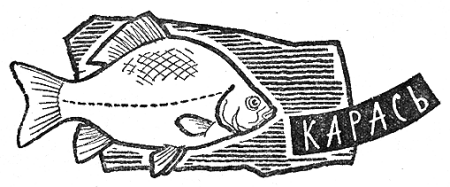Карась раскраска