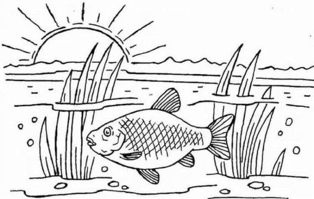 Рисунок рыбы для срисовки