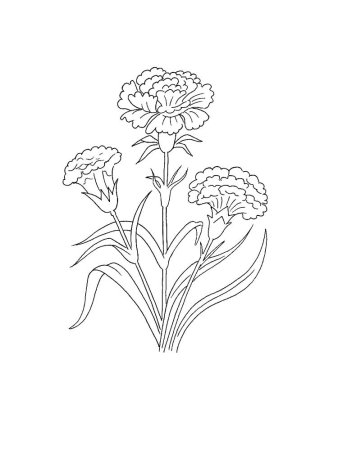 Трафарет гвоздики