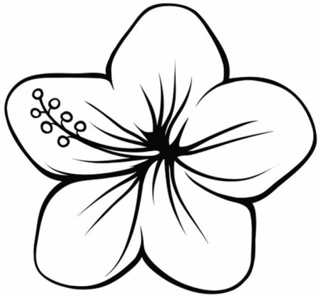 Цветы. Раскраска